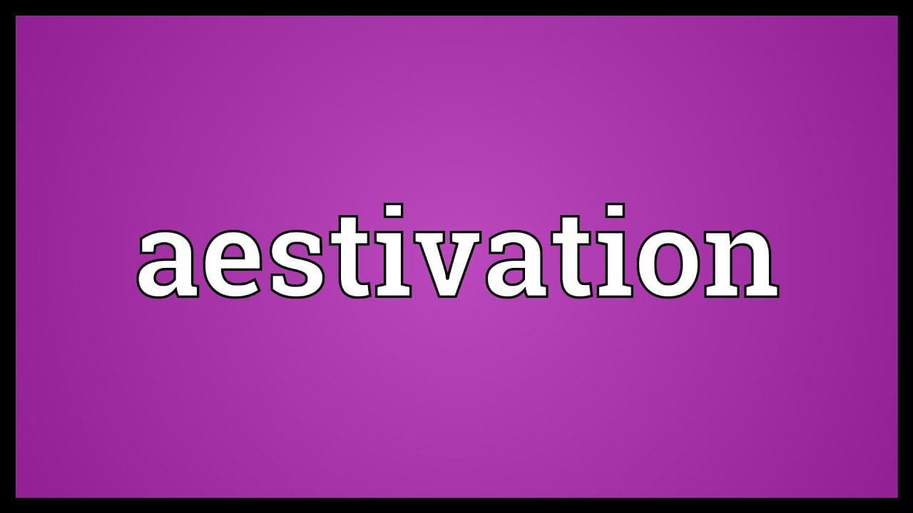 Difference Between Aestivation and Hibernation