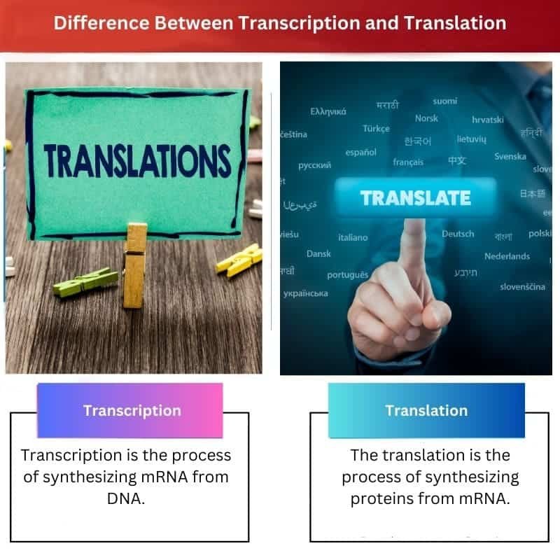Difference Between X and Y 20