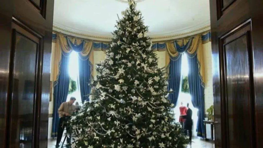 تاريخ أشجار عيد الميلاد 1