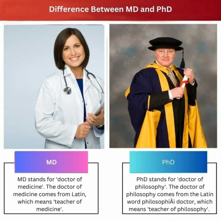 is md degree equivalent to phd