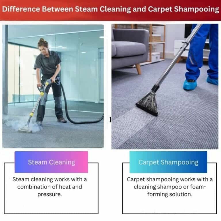 Steam Cleaning vs Carpet Shampooing Difference and Comparison