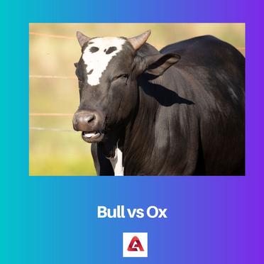 COW | CON BÒ | BOEUF | KUH | VACA | Корова | 牛 | 소 | 牛 | วัว | 360hot Media