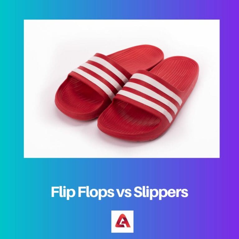 Flip Flops vs Slippers: Difference and Comparison