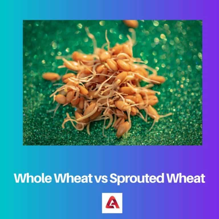 Sprouted Wheat Vs Whole Wheat Difference And Comparison