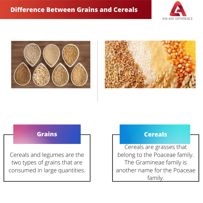 Grains vs Cereals Difference Between Grains and Cereals Ask Any