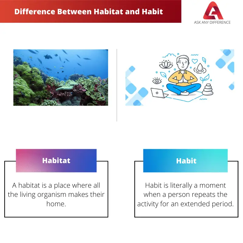 Difference Between Habitat and Habit