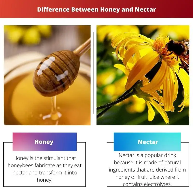 Difference Between Honey and Nectar
