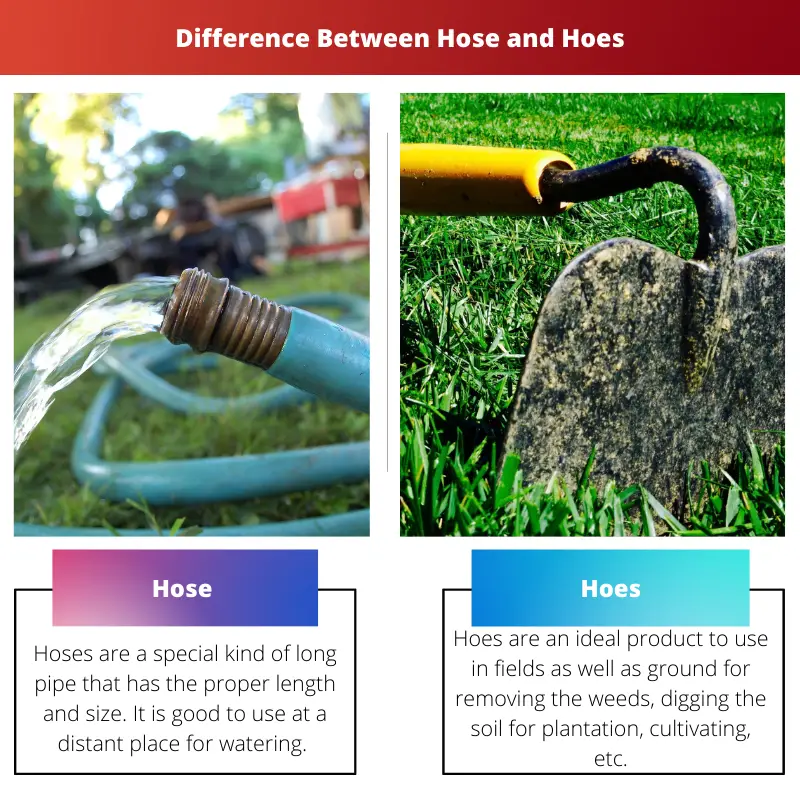 Difference Between Hose and Hoes