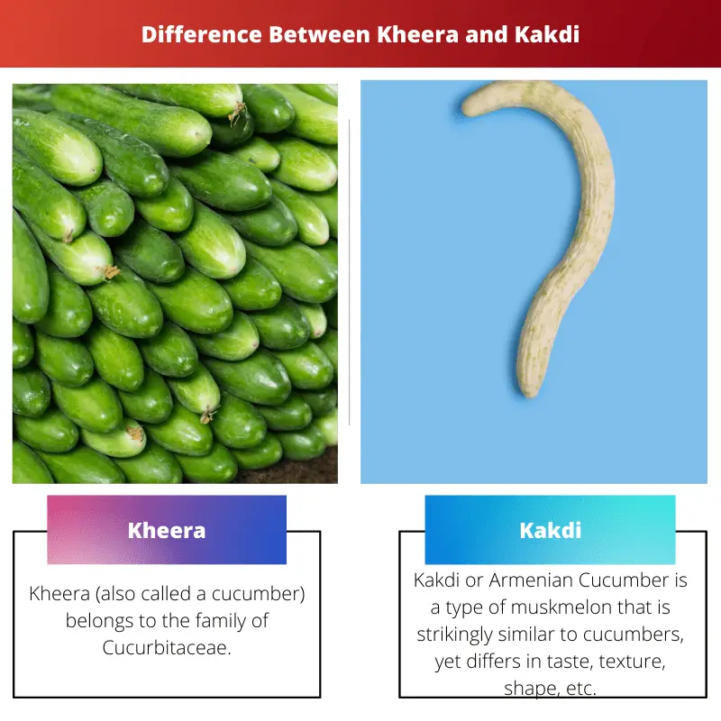 Difference Between Kheera and Kakdi