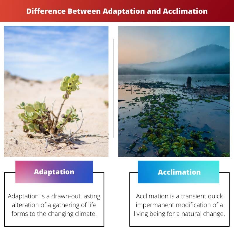 Diferencia entre adaptación y aclimatación