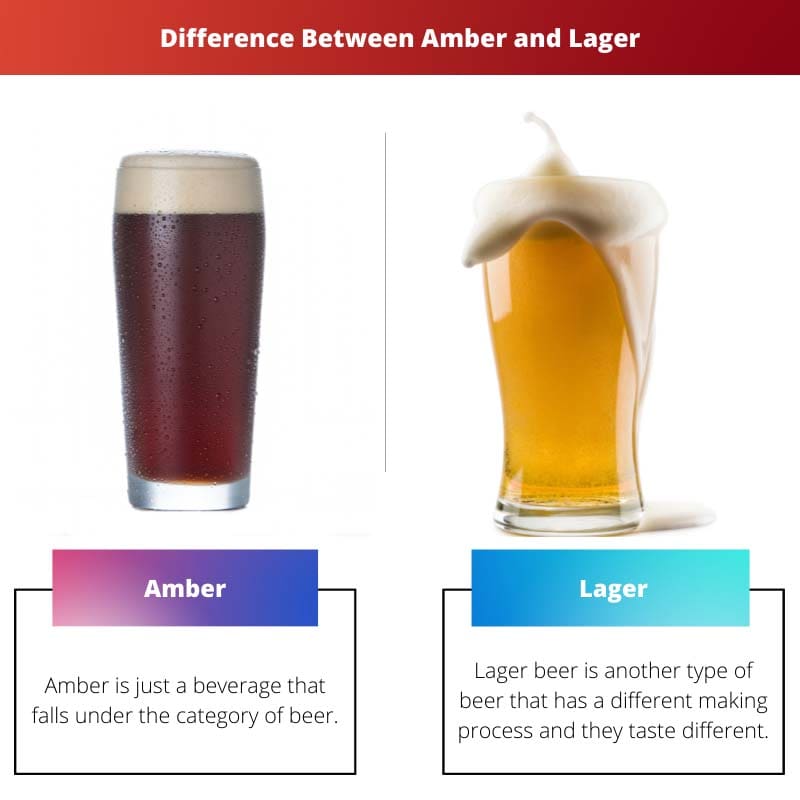Difference Between Amber and Lager