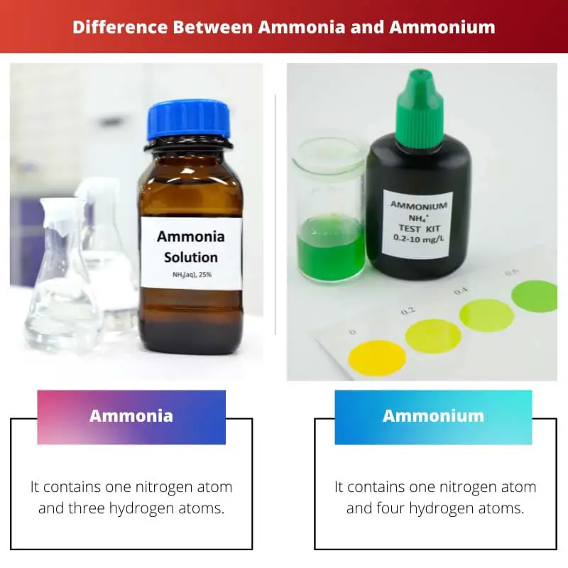 Difference Between Ammonia and Ammonium