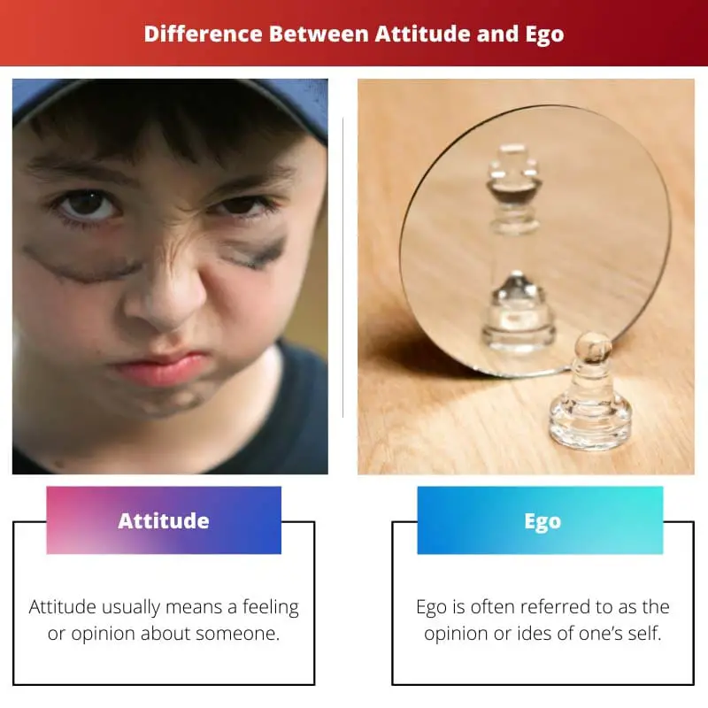 Difference Between Attitude and Ego