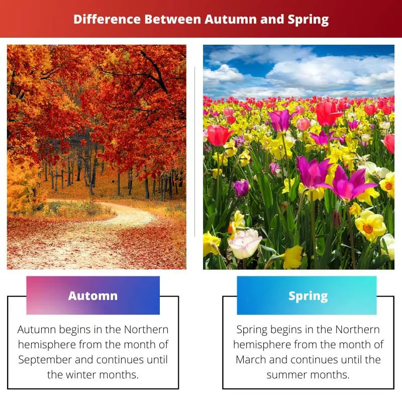 Difference Between Autumn and Spring