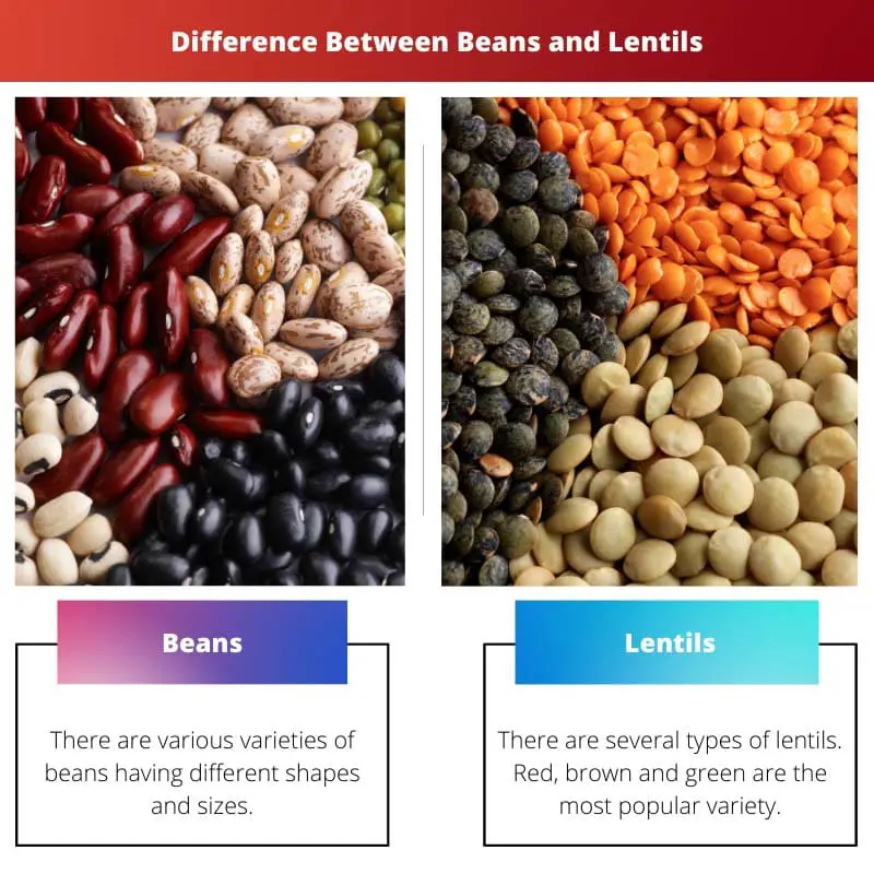 Perbedaan Antara Kacang dan Lentil