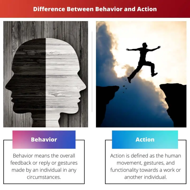 Difference Between Behavior and Action