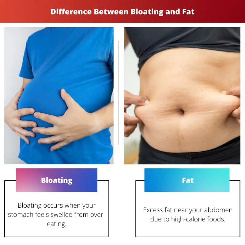 Difference Between Bloating and Fat