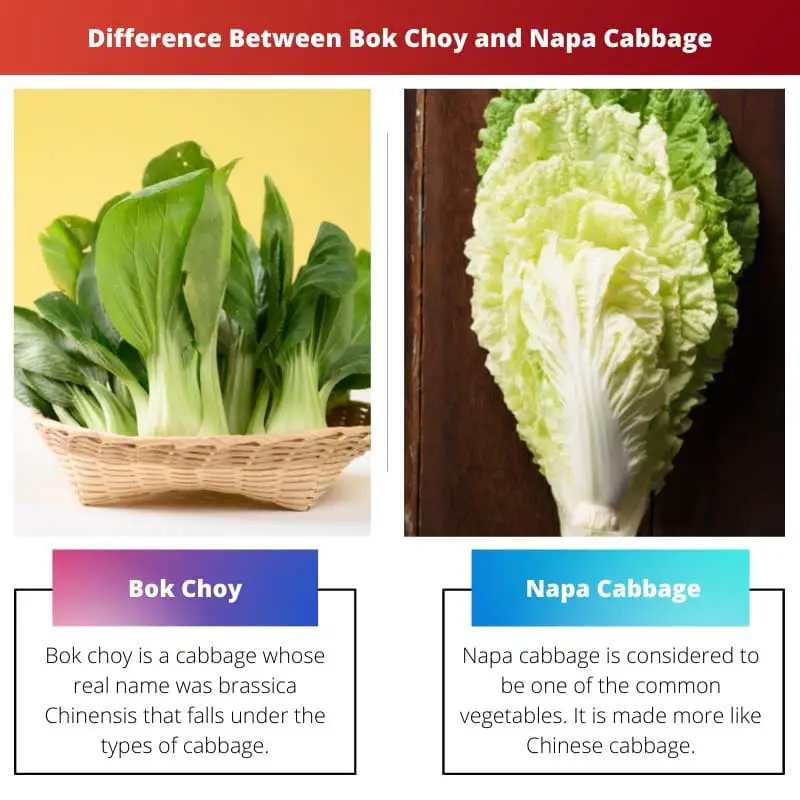 Rozdíl mezi Bok Choy a Napa Cabbage