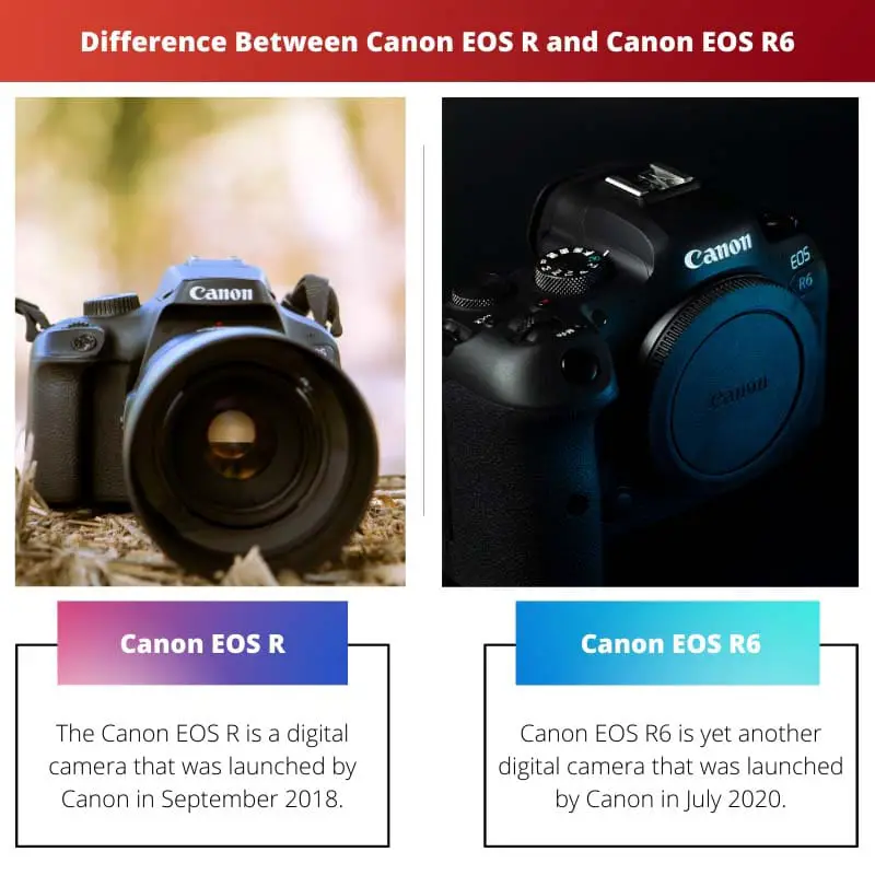 الفرق بين Canon EOS R و Canon EOS R6