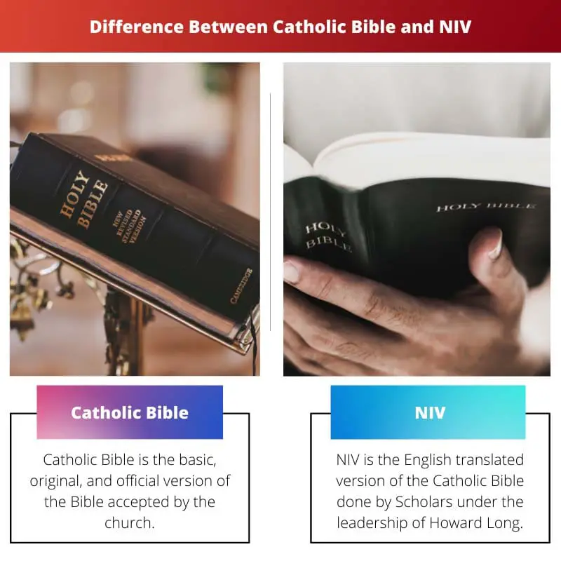 Difference Between Catholic Bible and NIV