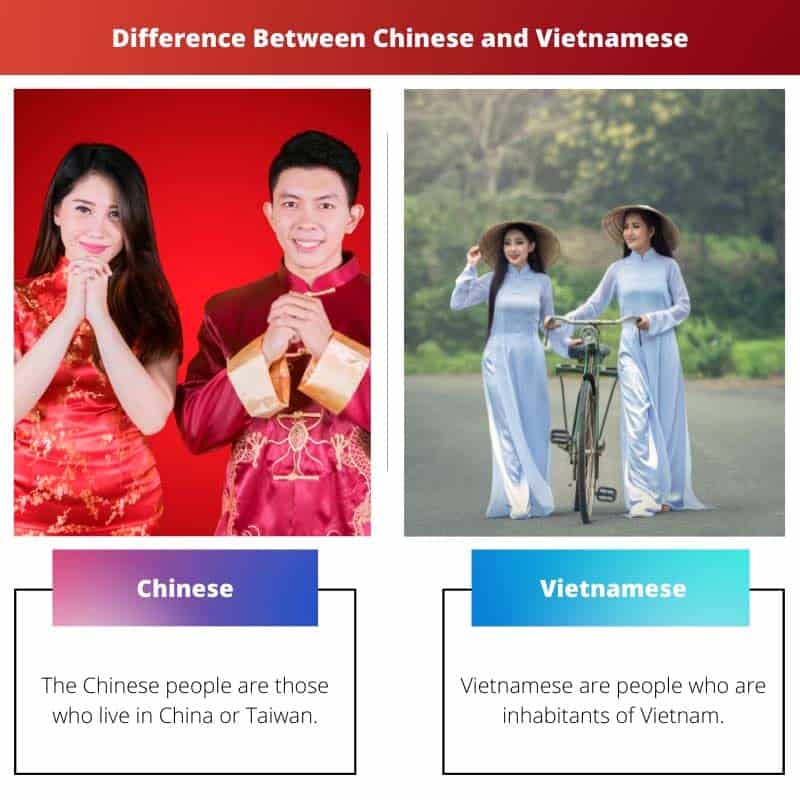 चीनी और वियतनामी के बीच अंतर