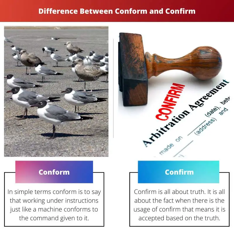 Difference Between Conform and Confirm