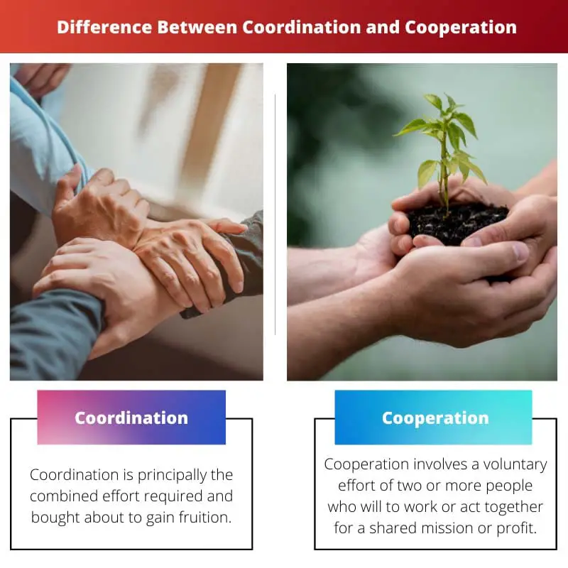Diferencia entre coordinación y cooperación