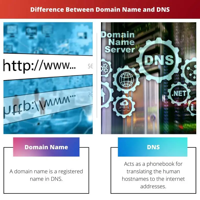 Difference Between Domain Name and DNS