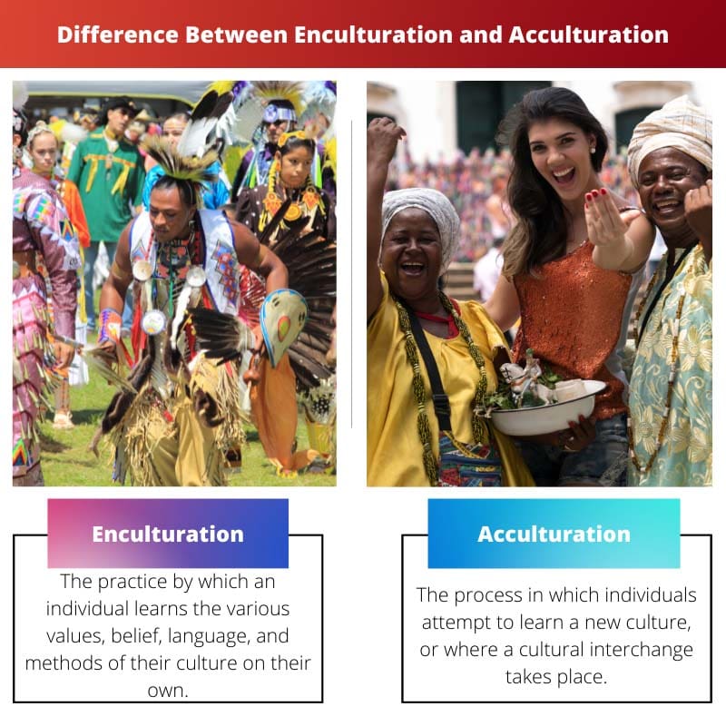 Erinevus enkulturatsiooni ja akulturatsiooni vahel