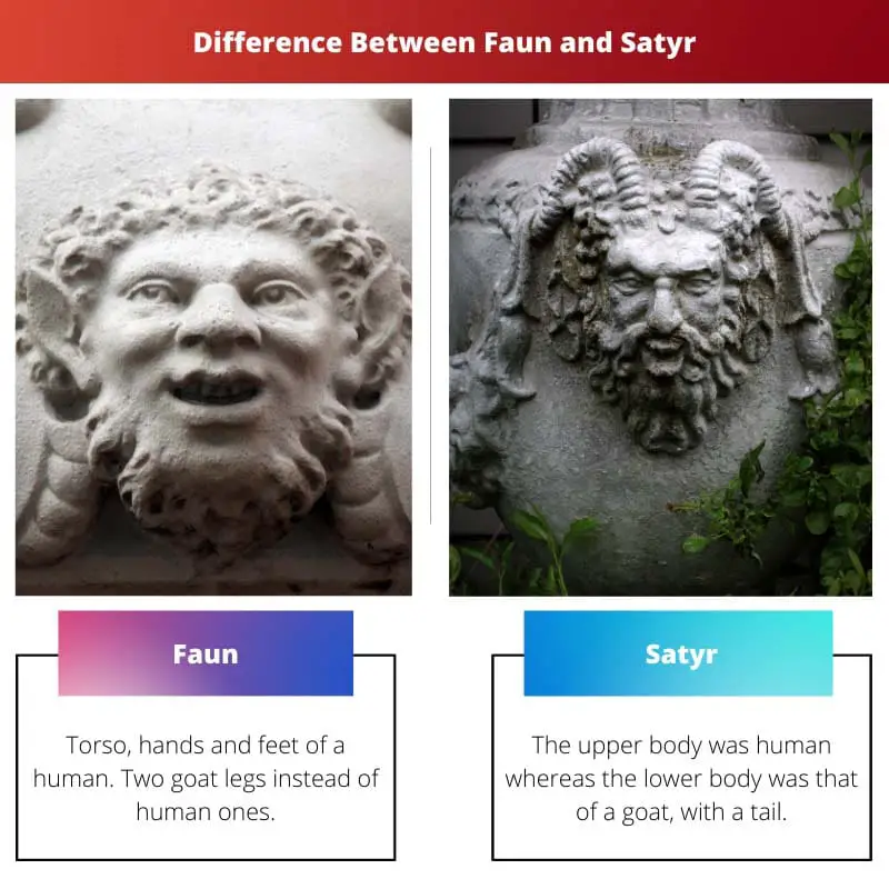 Разница между Фавном и Сатиром