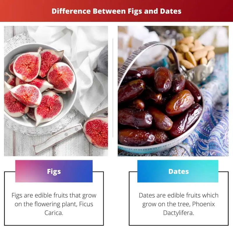 Difference Between Figs and Dates