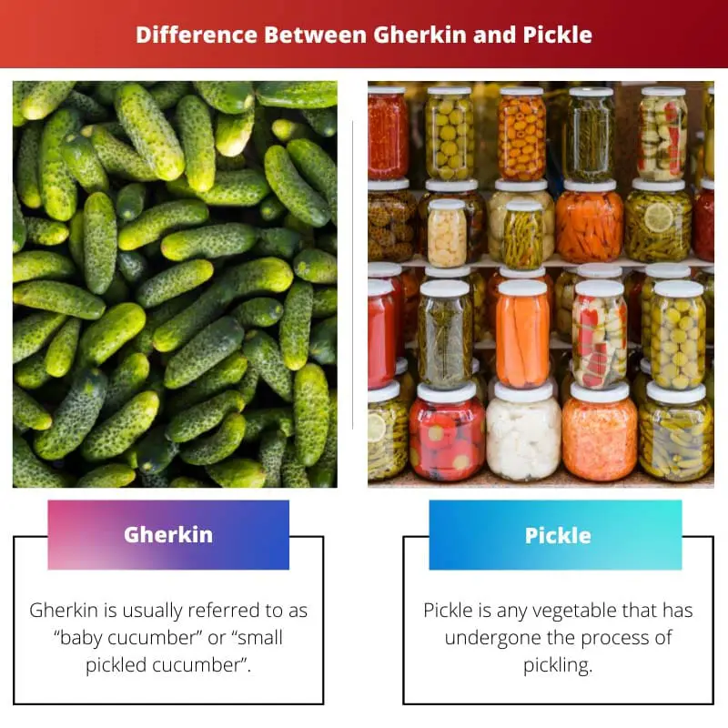 Difference Between Gherkin and Pickle