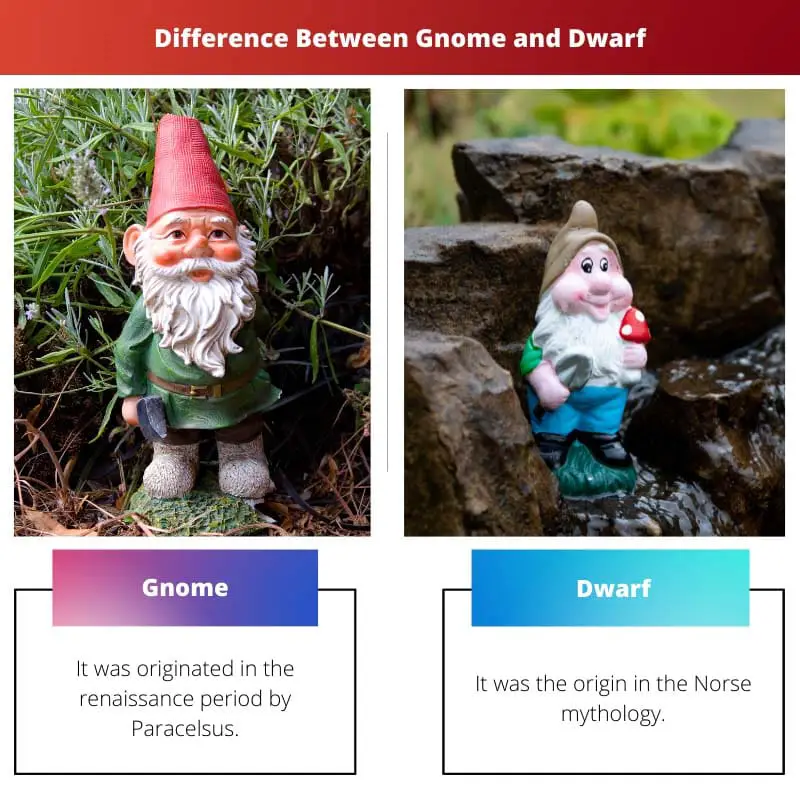 Difference Between Gnome and Dwarf