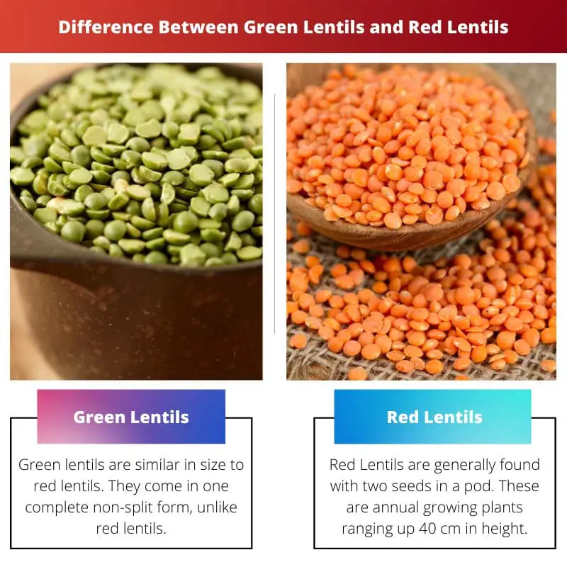 Diferença entre lentilhas verdes e lentilhas vermelhas