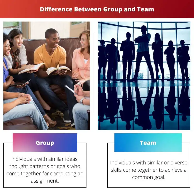 Difference Between Group and Team