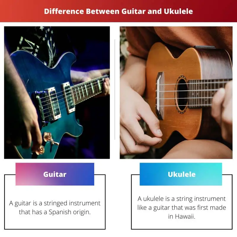 Difference Between Guitar and Ukulele