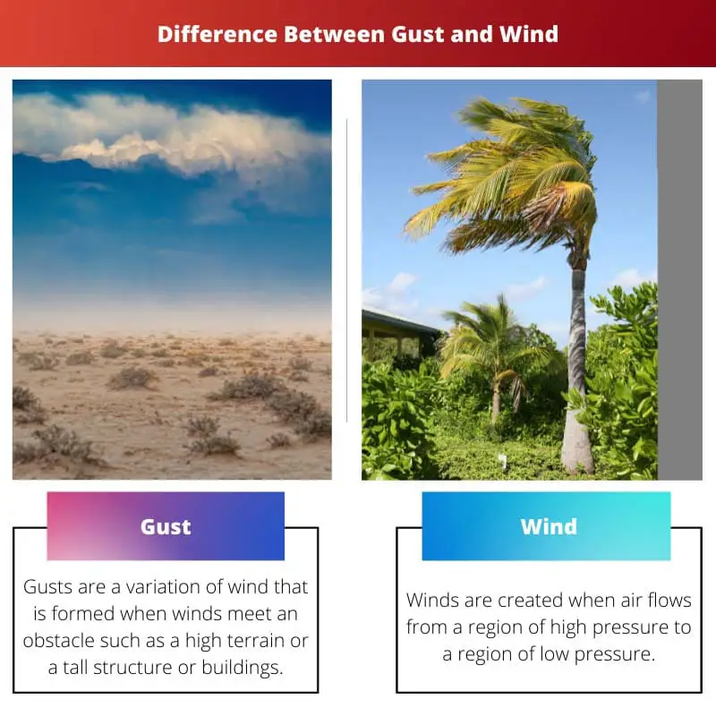 Differenza tra raffica e vento