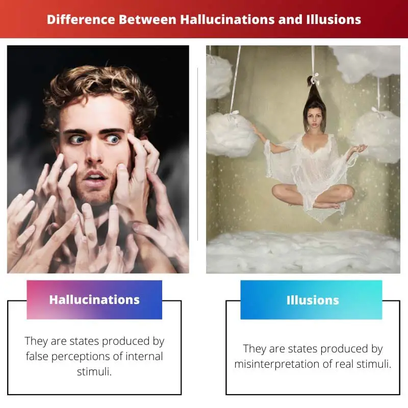 Difference Between Hallucinations and Illusions
