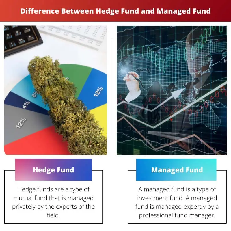 Difference Between Hedge Fund and Managed Fund