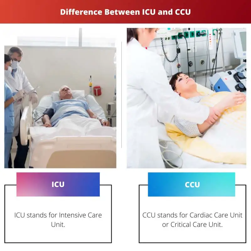 ICU 和 CCU 之间的区别