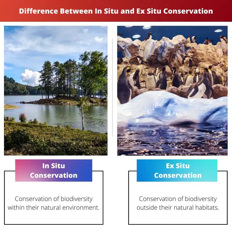 Difference Between In Situ and Ex Situ Conservation