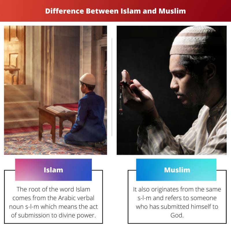 Difference Between Islam and Muslim