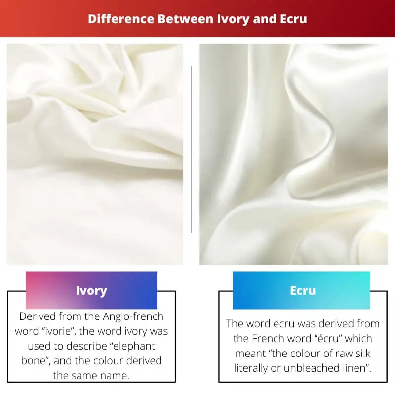 Difference Between Ivory and Ecru