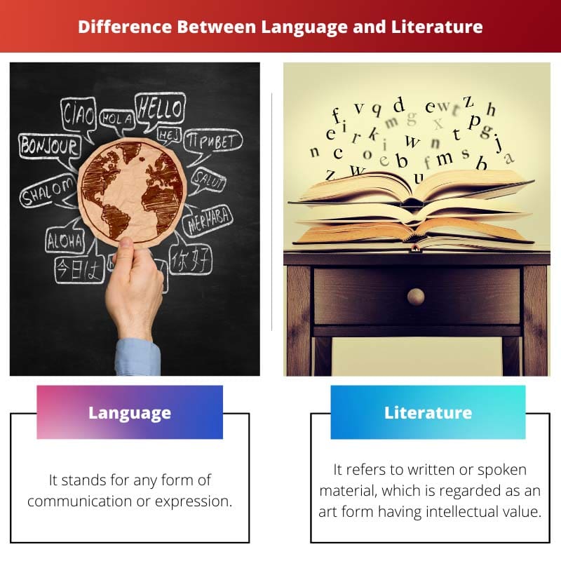 ความแตกต่างระหว่างภาษาและวรรณคดี