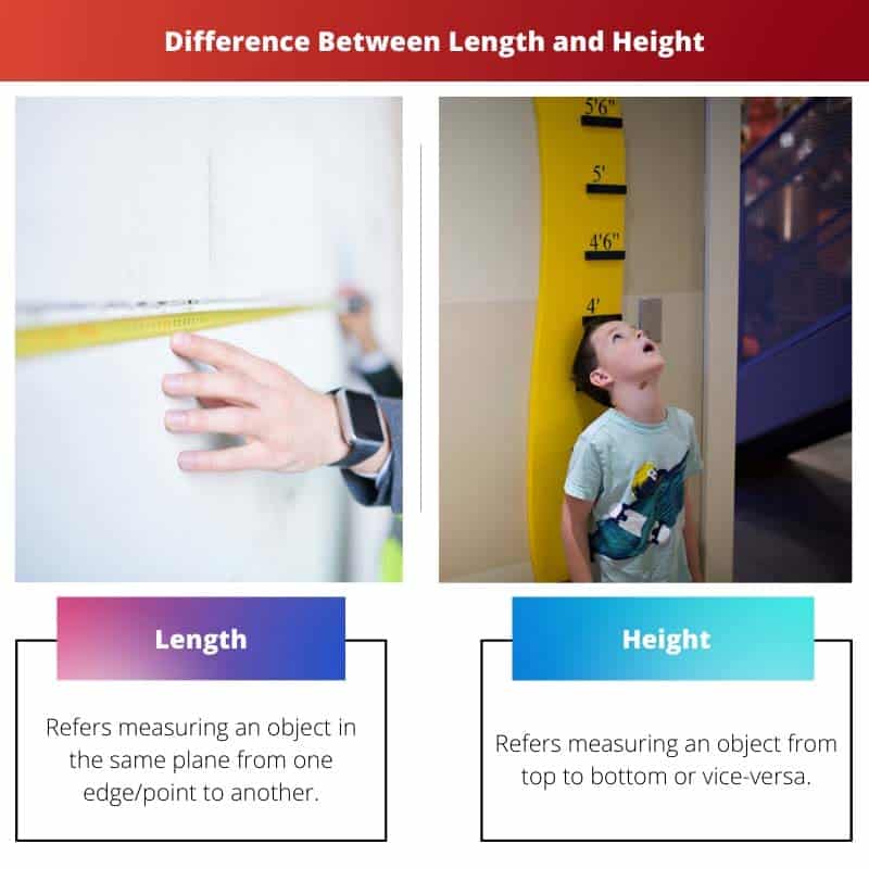 Length Vs Height Difference And Comparison