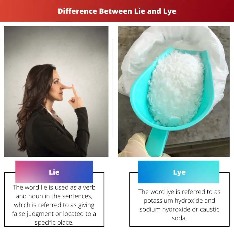 Difference Between Lie and Lye