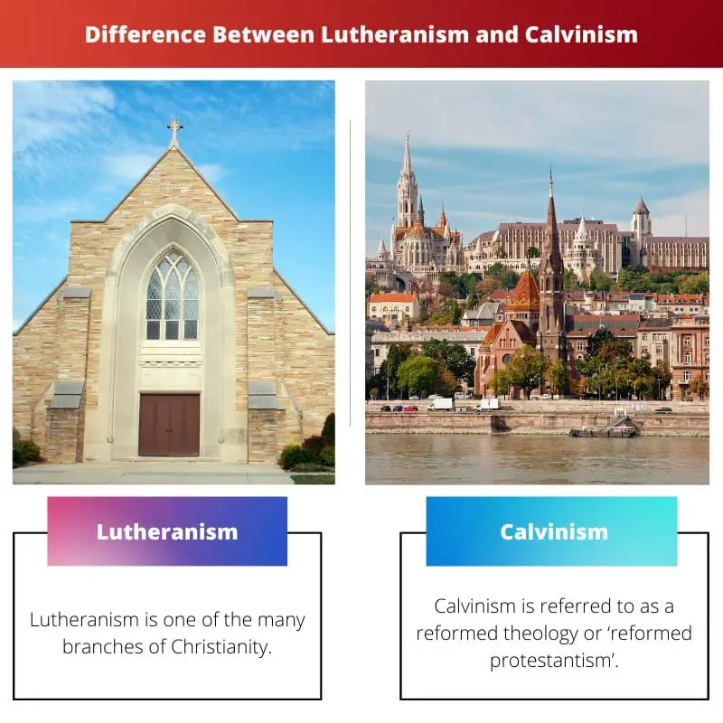 Difference Between Lutheranism and Calvinism