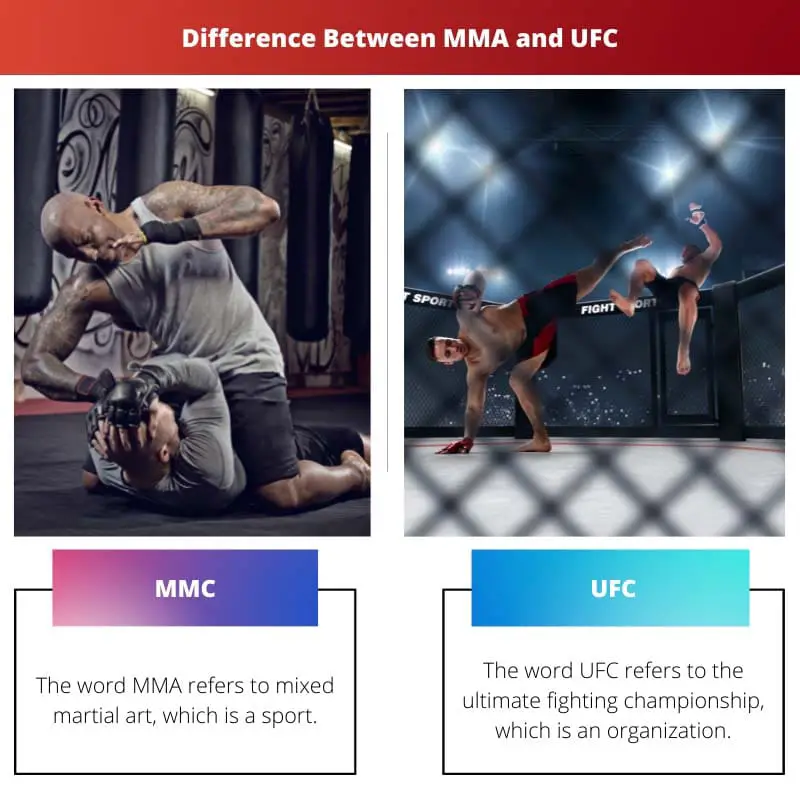 Difference Between MMA and UFC