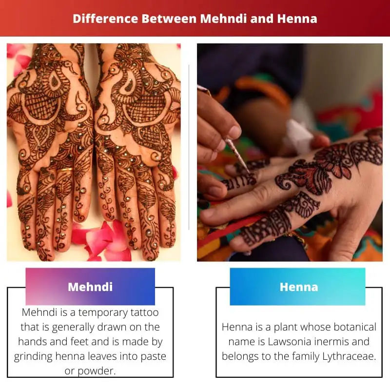 Difference Between Mehndi and Henna