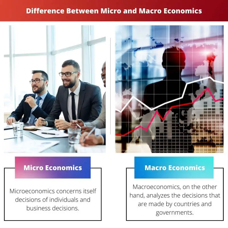 Difference Between Micro and Macro Economics